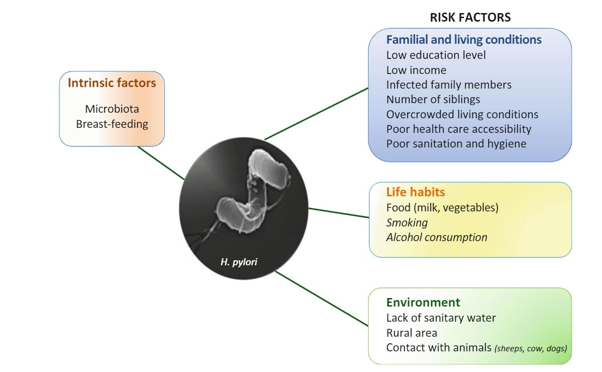 risk factors